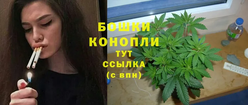 Марихуана THC 21%  сколько стоит  Кодинск 